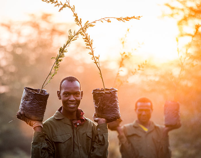 Planting a Future